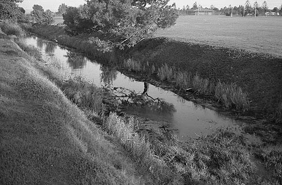 Reflections on the creek at Barrat Reserve