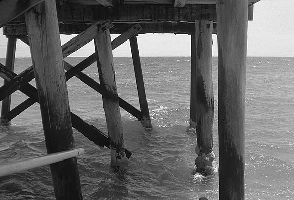 Under the Henley Beach Jetty